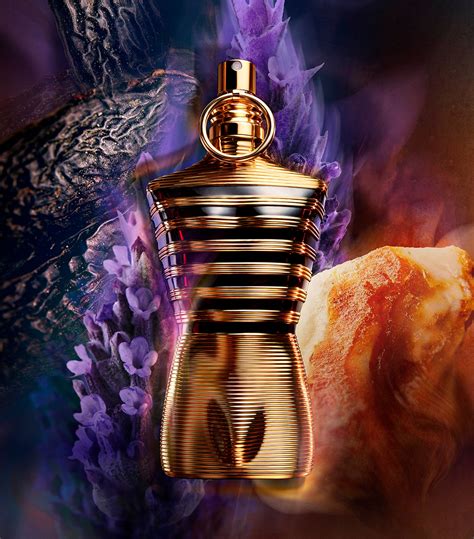 le male le parfum fragrantica|jean paul le male elixir.